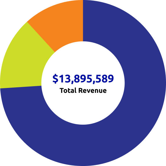 Pie_chart_13_million